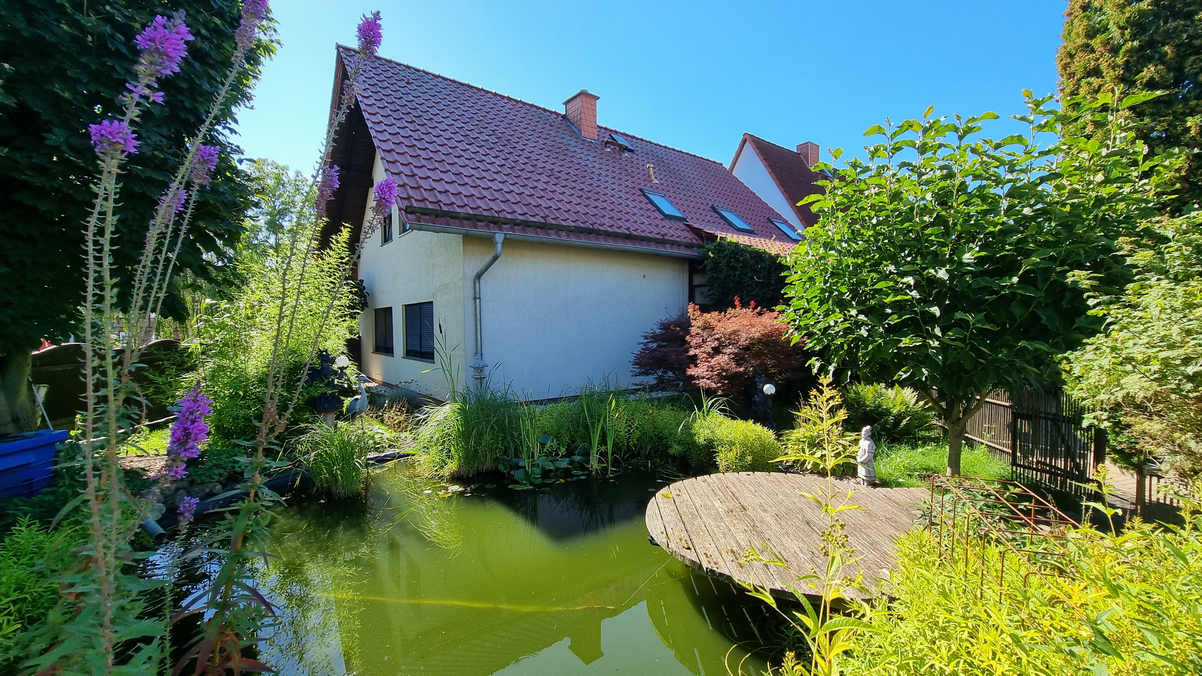 1 ANSICHT Einfamilienhaus Garten