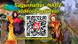 Videoreisefuehrer_HARZ_4_4_2024_